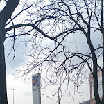 Photo n°34 de l'avis de Donato.e fait le 19/02/2023 à 13:54 sur le  MyChef Gran Cafè San Martino Est à Parma