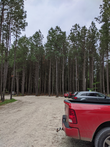 Nature Preserve «Maurice River Bluffs Preserve», reviews and photos, Silver Run Rd, Millville, NJ 08332, USA