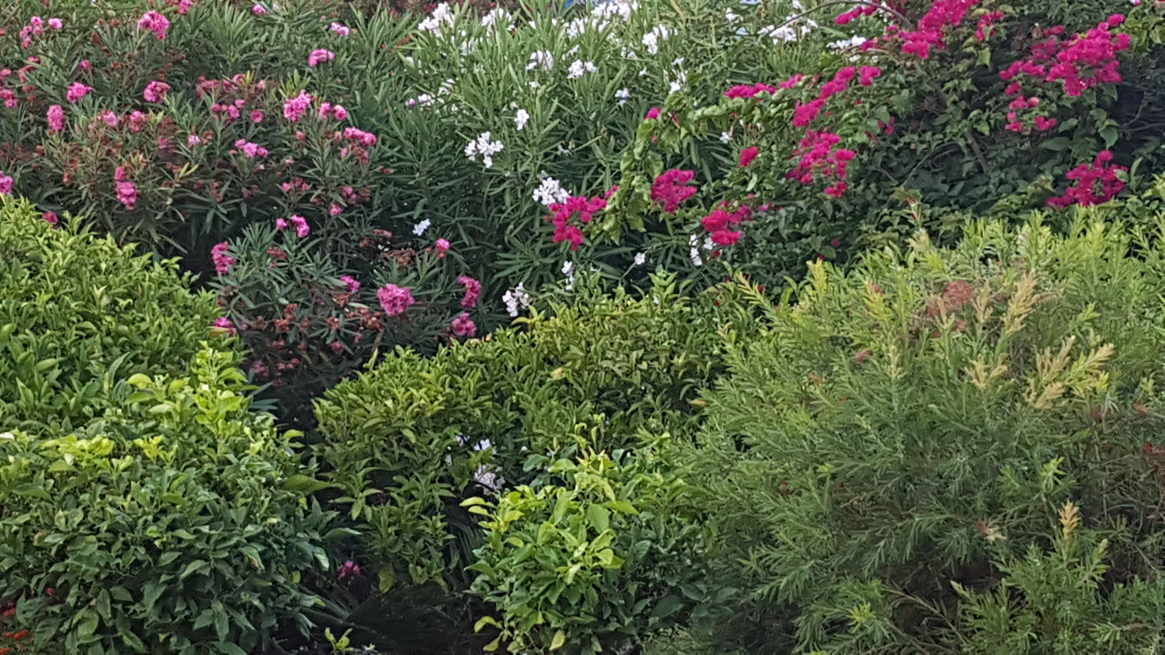 Photo n° 1 de l'avis de Catherine.' fait le 03/08/2019 à 09:47
