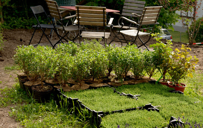 Tobelhofstrasse 219, 8044 Zürich