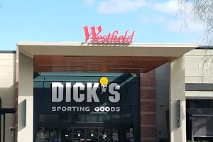 DICK'S Sporting Goods image