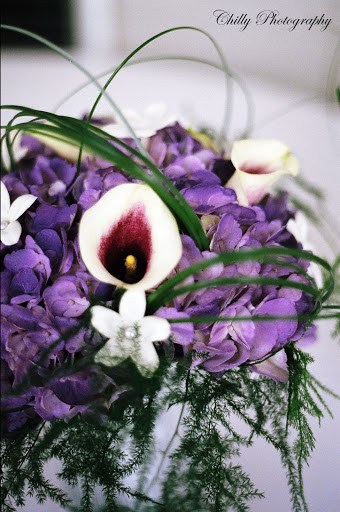 Florist «Stargazer Premier Florist», reviews and photos, 925 NW Circle Blvd, Corvallis, OR 97330, USA