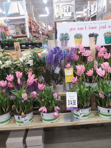 Home Improvement Store «The Home Depot», reviews and photos, 935 Fairmount Ave, Jamestown, NY 14701, USA