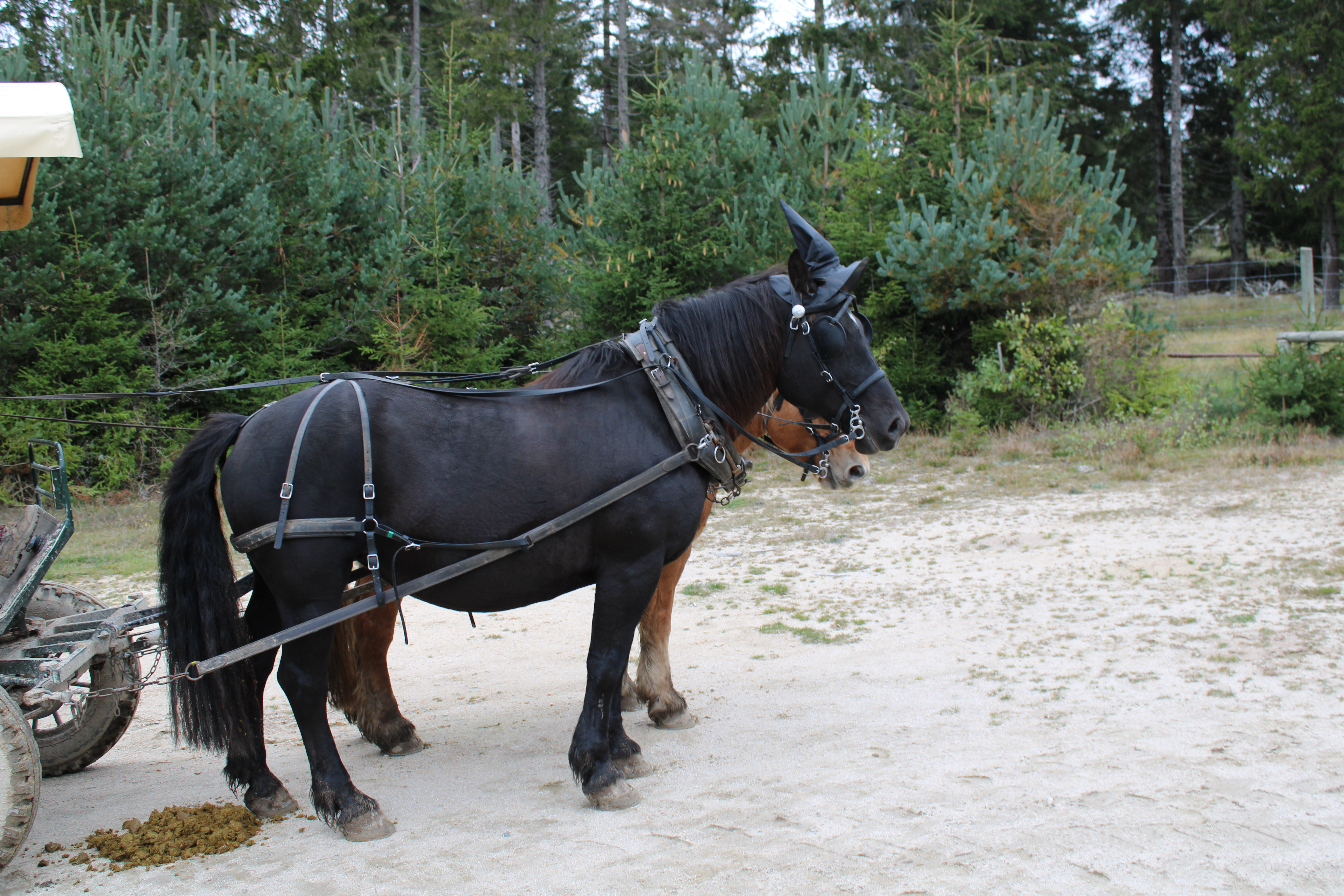 Photo n° 10 de l'avis de Brandon.i fait le 20/10/2020 à 16:26
