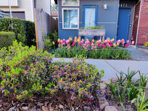 Wine Bar «Portalis Wine Shop», reviews and photos, 6754 15th Ave NW, Seattle, WA 98117, USA