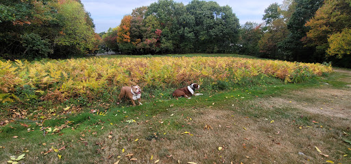 Dog Park «Danvers Dog Park», reviews and photos, 29 Ingersoll St, Danvers, MA 01923, USA