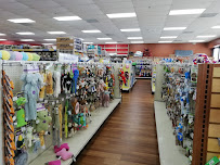 Pet Supermarket - Photo 3 - Car repair in Daytona Beach, FL, Deltona