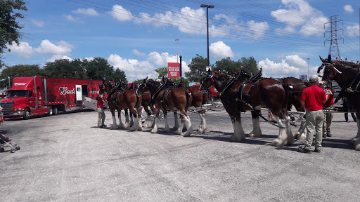 Tourist Attraction «Budweiser Brewery Experience», reviews and photos, 775 Gellhorn Dr, Houston, TX 77029, USA