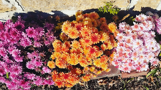 Thrift Store «Second Blessing Thrift Store Inc.», reviews and photos, 2323 Central Ave, Wichita, KS 67214, USA