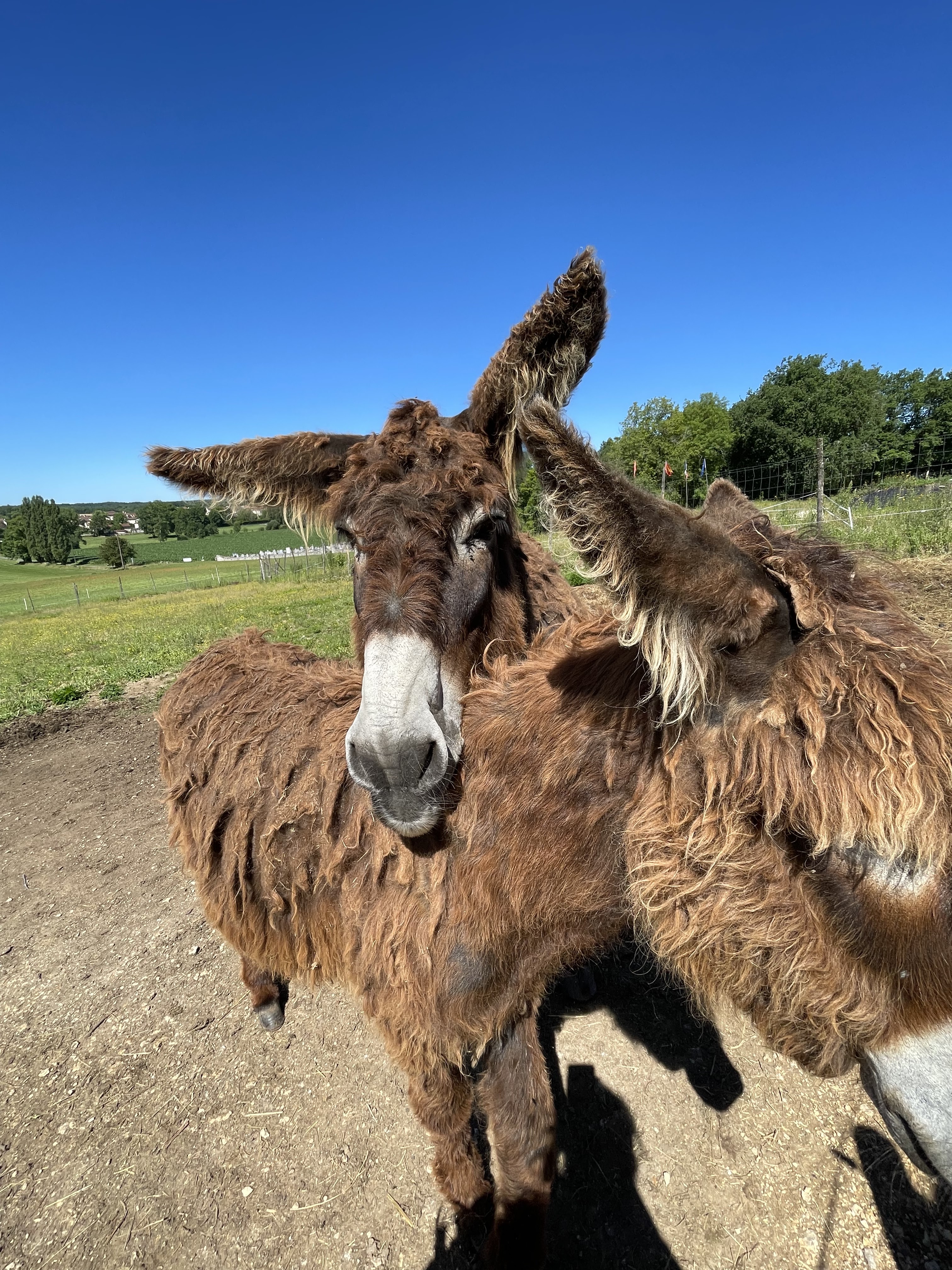 Photo n° 4 de l'avis de Celia.e fait le 23/08/2022 à 19:00