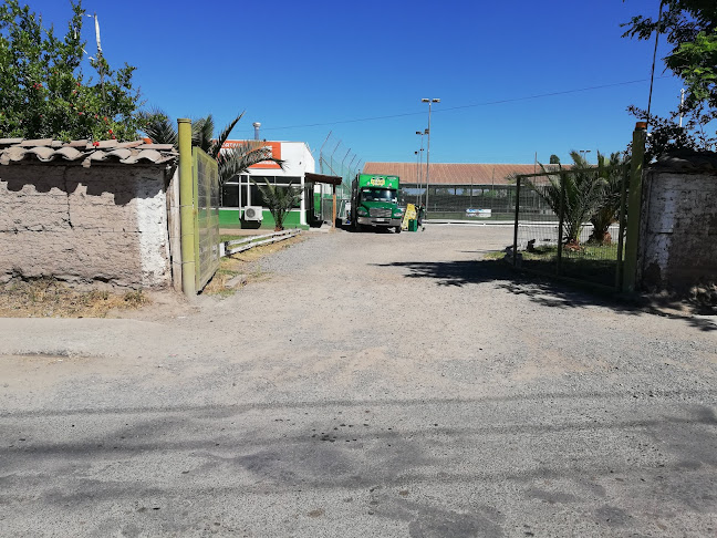 Complejo Deportivo San Alfonso - San Esteban