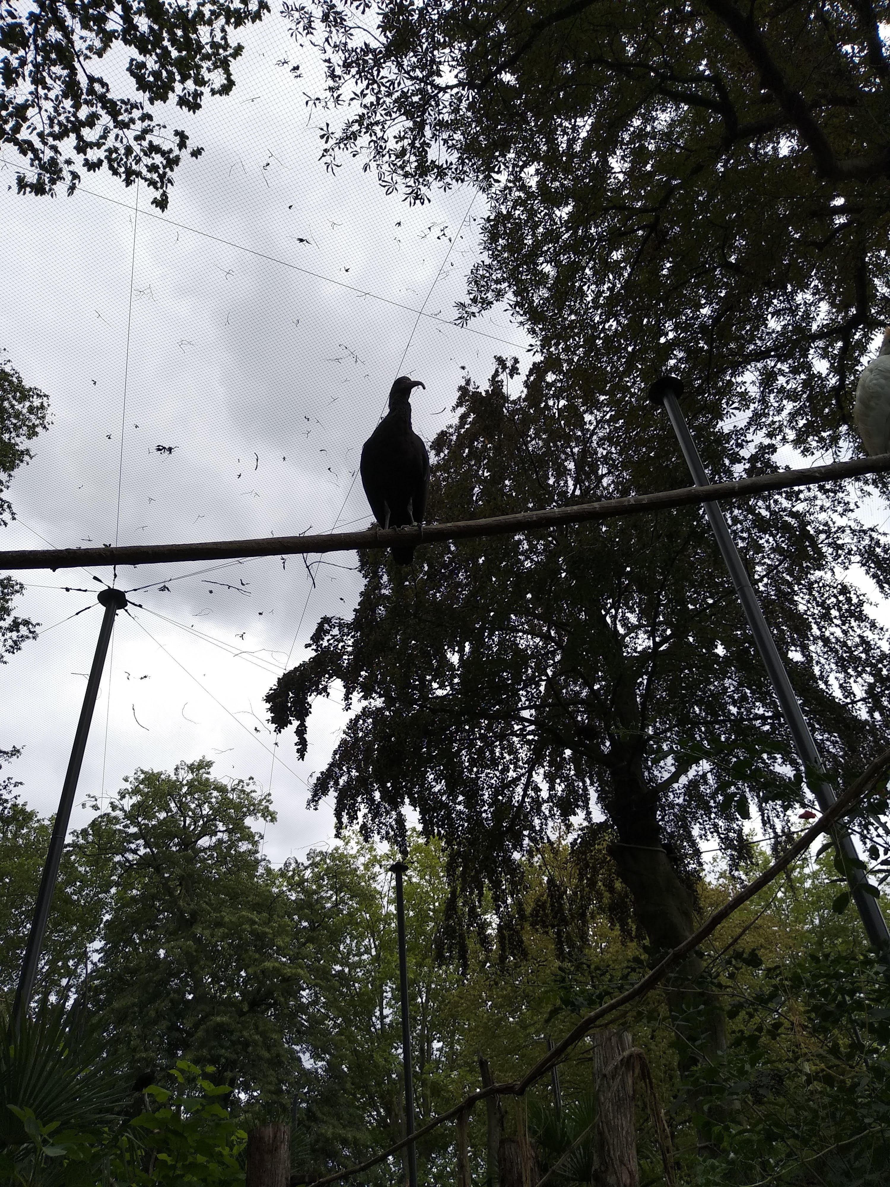 Photo n° 19 de l'avis de Xavier. fait le 10/08/2018 à 16:35
