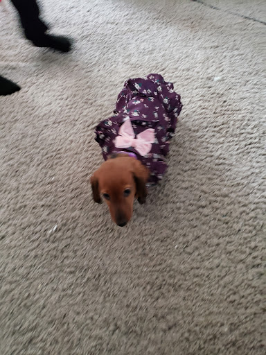 Pet Supply Store «Petco Animal Supplies», reviews and photos, 7625 Jolly Ln, Brooklyn Park, MN 55428, USA