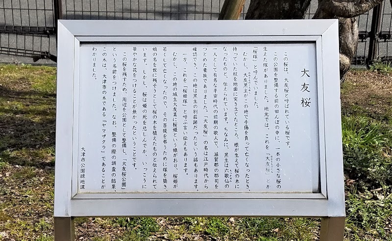 大友桜公園