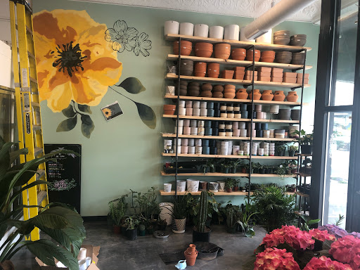 Florist «Thats Amore Florist Ltd», reviews and photos, 3454 N Southport Ave, Chicago, IL 60657, USA