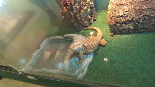 Pet Supply Store «Pet Supplies Plus», reviews and photos, 4922 Portage St NW, North Canton, OH 44720, USA