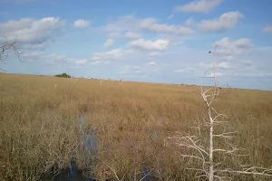 Southern Glades Wildlife and Environmental Area image