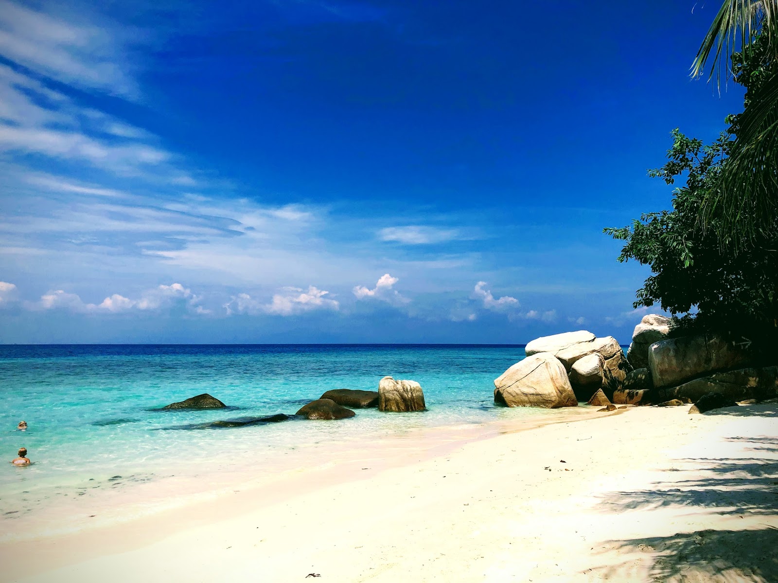 Foto von D'Coconut Lagoon mit türkisfarbenes wasser Oberfläche