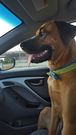 Pet Supply Store «Pet Valu», reviews and photos, 160 Summit Ave, Circleville, OH 43113, USA