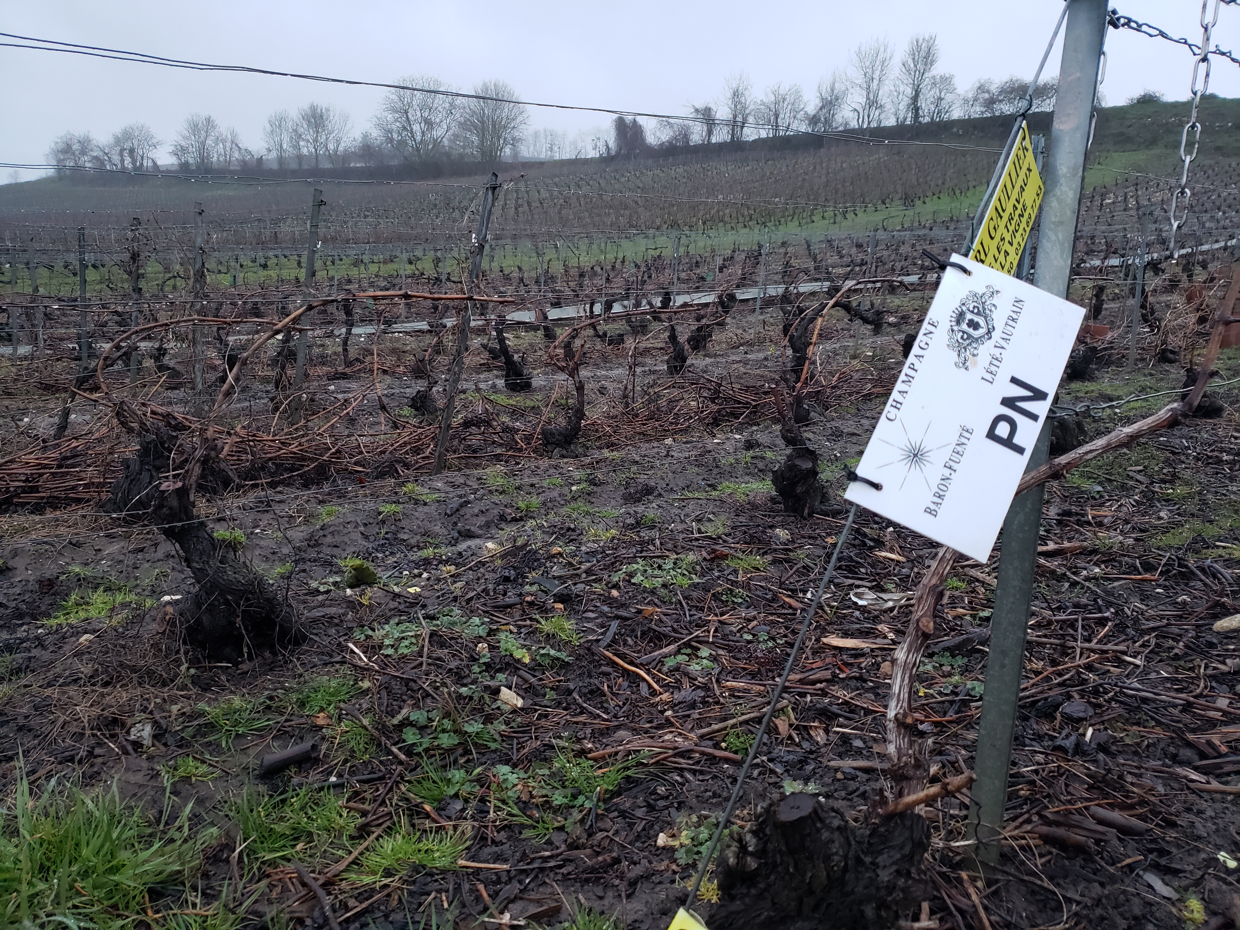 Photo n° 2 de l'avis de Laura.i fait le 15/03/2019 à 23:08