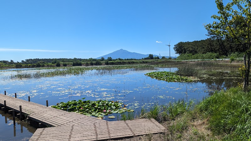 大堤沼 駐車場