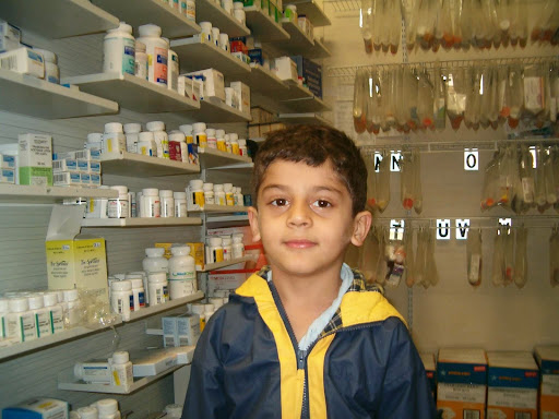 Pharmacy «Crisfield Discount Pharmacy», reviews and photos, 390 W Main St, Crisfield, MD 21817, USA