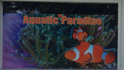 Tropical Fish Store «Aquatic Paradise», reviews and photos, 705 West Ave, Clermont, FL 34711, USA