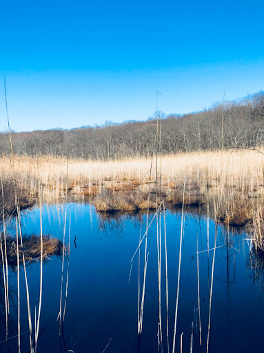 Nature Preserve «Cranberry Lake Preserve», reviews and photos, 1609 Old Orchard St, West Harrison, NY 10604, USA