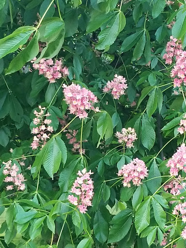 Pet Supply Store «Petco Animal Supplies», reviews and photos, 390 Universal Dr N, North Haven, CT 06473, USA