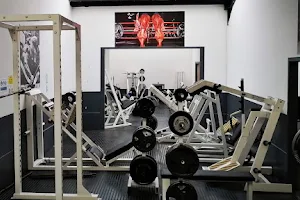Musclefactory Gymnasium image