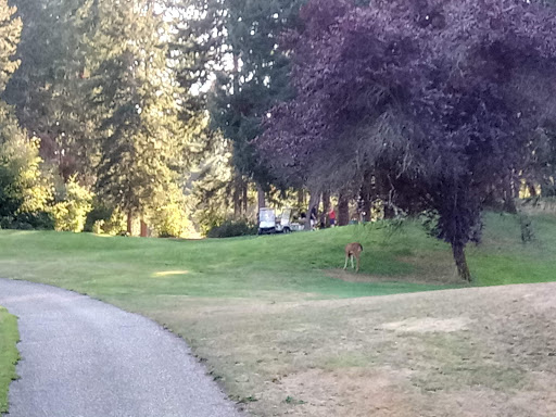Golf Course «Horseshoe Lake Golf Course», reviews and photos, 1250 SW Club House Ct, Port Orchard, WA 98367, USA