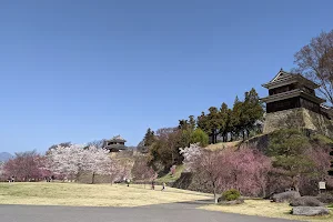 Uedajo Castle Ruins image