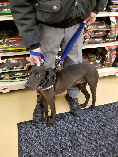 Pet Supply Store «Pet Supplies Plus», reviews and photos, 7031 Lincoln Ave, Lincolnwood, IL 60712, USA