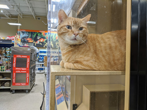 Pet Supply Store «PetSmart», reviews and photos, 815 McDermott Street, Council Bluffs, IA 51501, USA