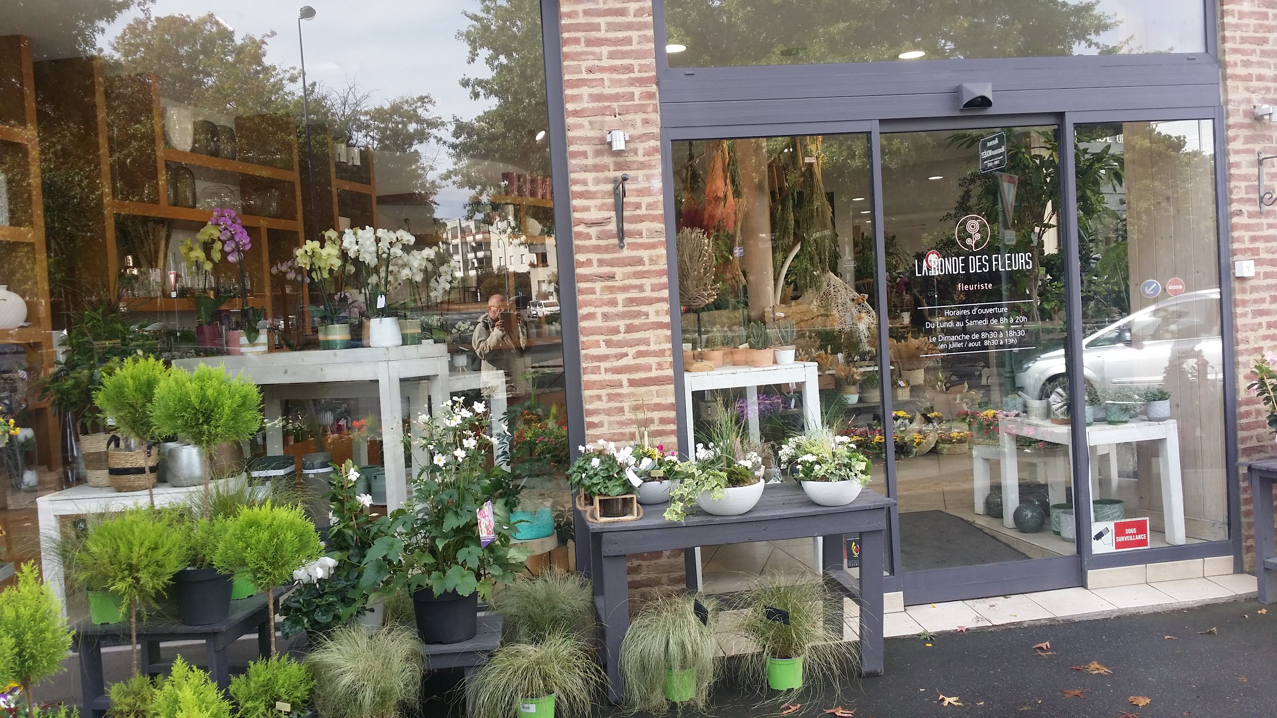 Photo n° 2 de l'avis de Alain.o fait le 22/09/2019 à 14:23