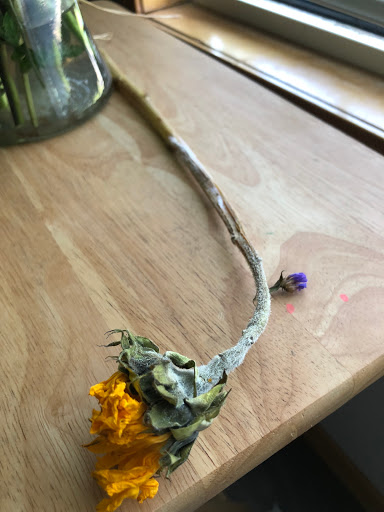 Florist «Flowerama of Springfield», reviews and photos, 659 W Sunshine St, Springfield, MO 65807, USA