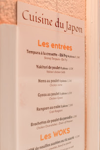 Restaurant indien Restaurant MANJAL indien, japonais, sushis et wok à Strasbourg - menu / carte