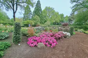 Bremen Botanical Garden image