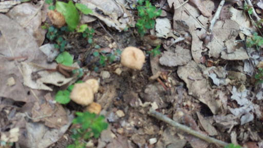 Park «West Park», reviews and photos, 600 Westpark Way, Euless, TX 76040, USA