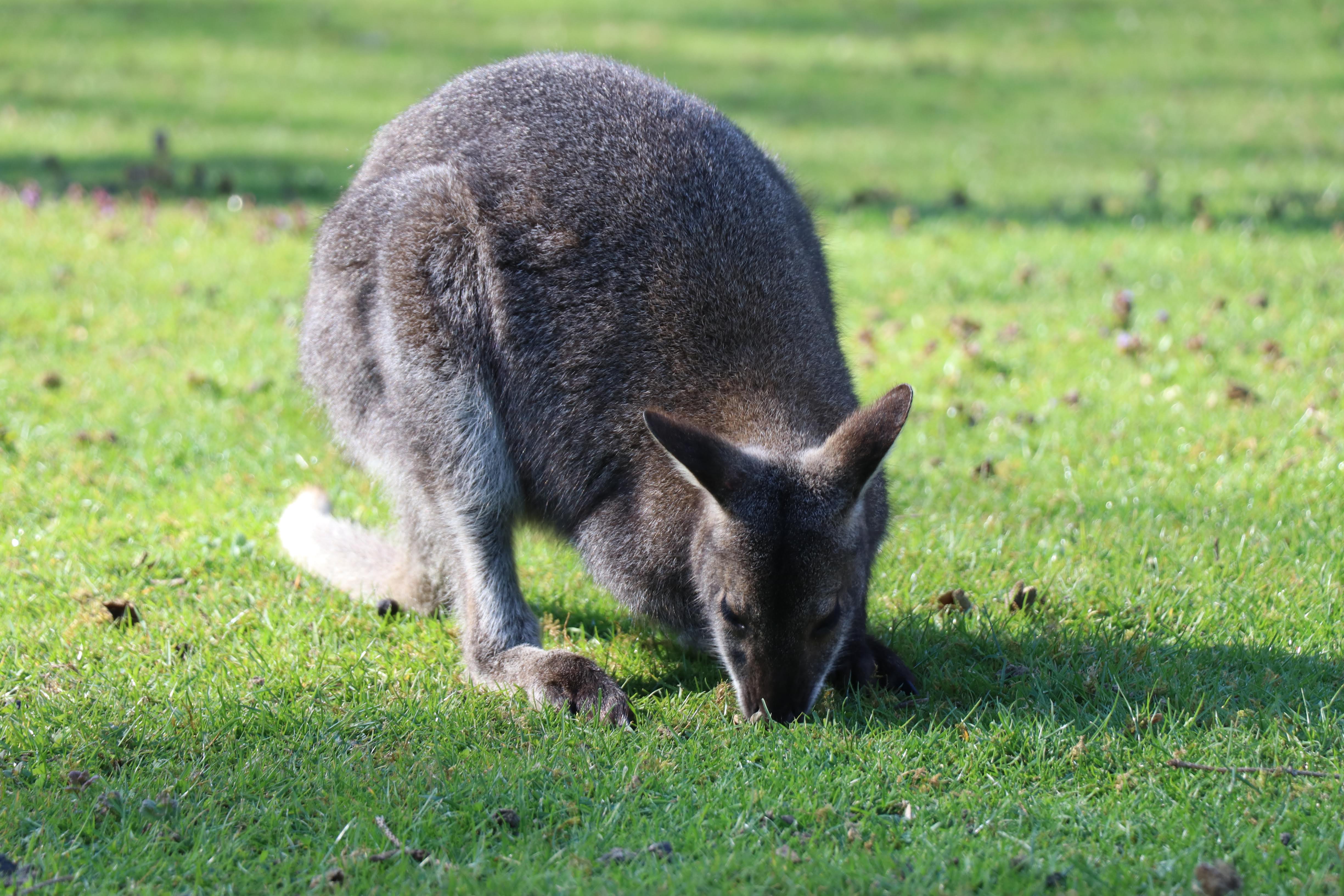 Photo n° 10 de l'avis de Julien.a fait le 21/04/2019 à 07:39