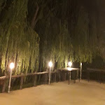 Photo n°1 de l'avis de Antonio.r fait le 20/10/2020 à 13:52 sur le  La Coccinella à Cosenza