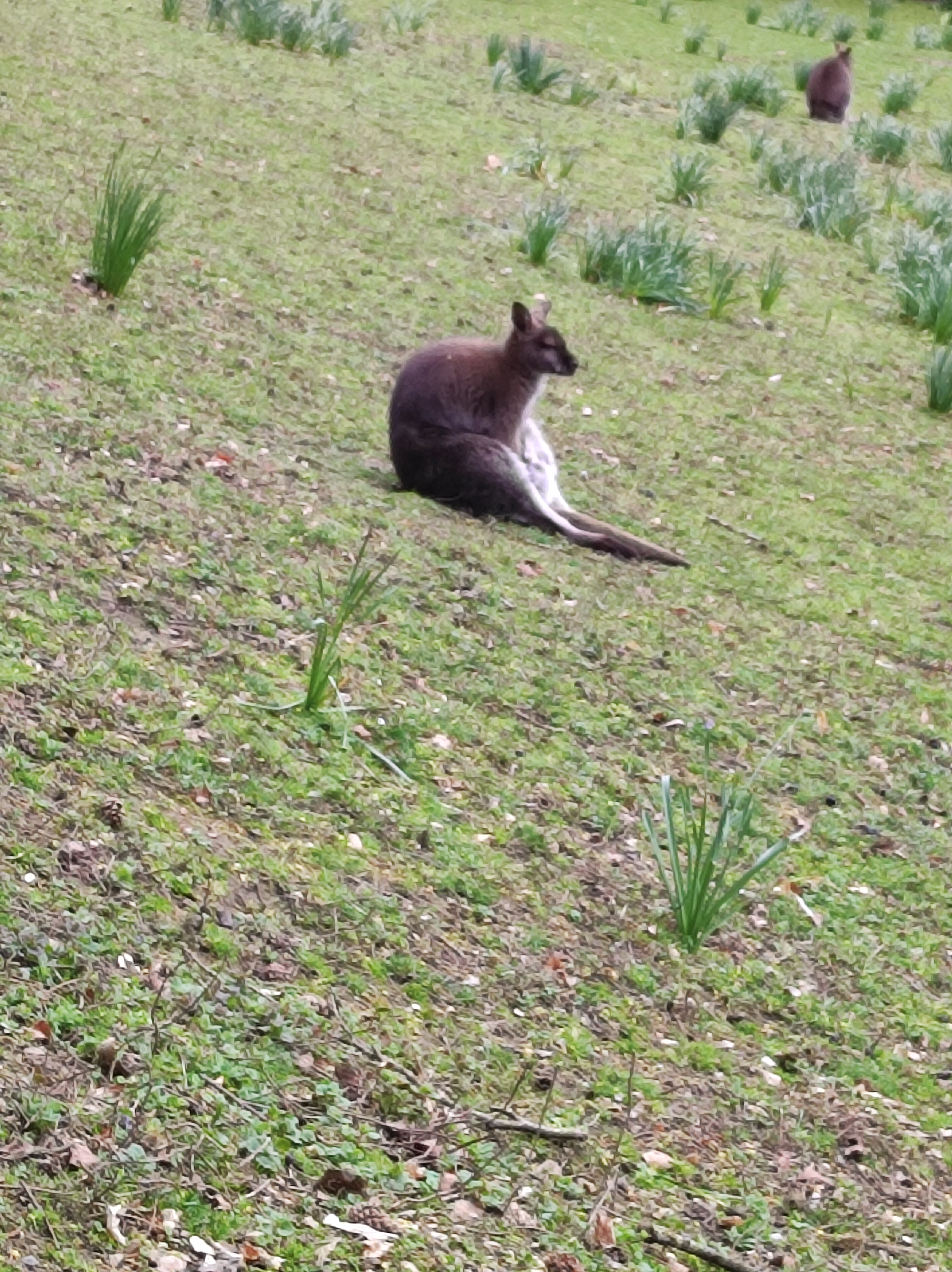 Photo n° 3 de l'avis de Yvonne.a fait le 23/04/2023 à 13:30