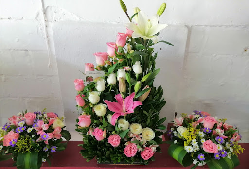 FLORERIA GARDENIA