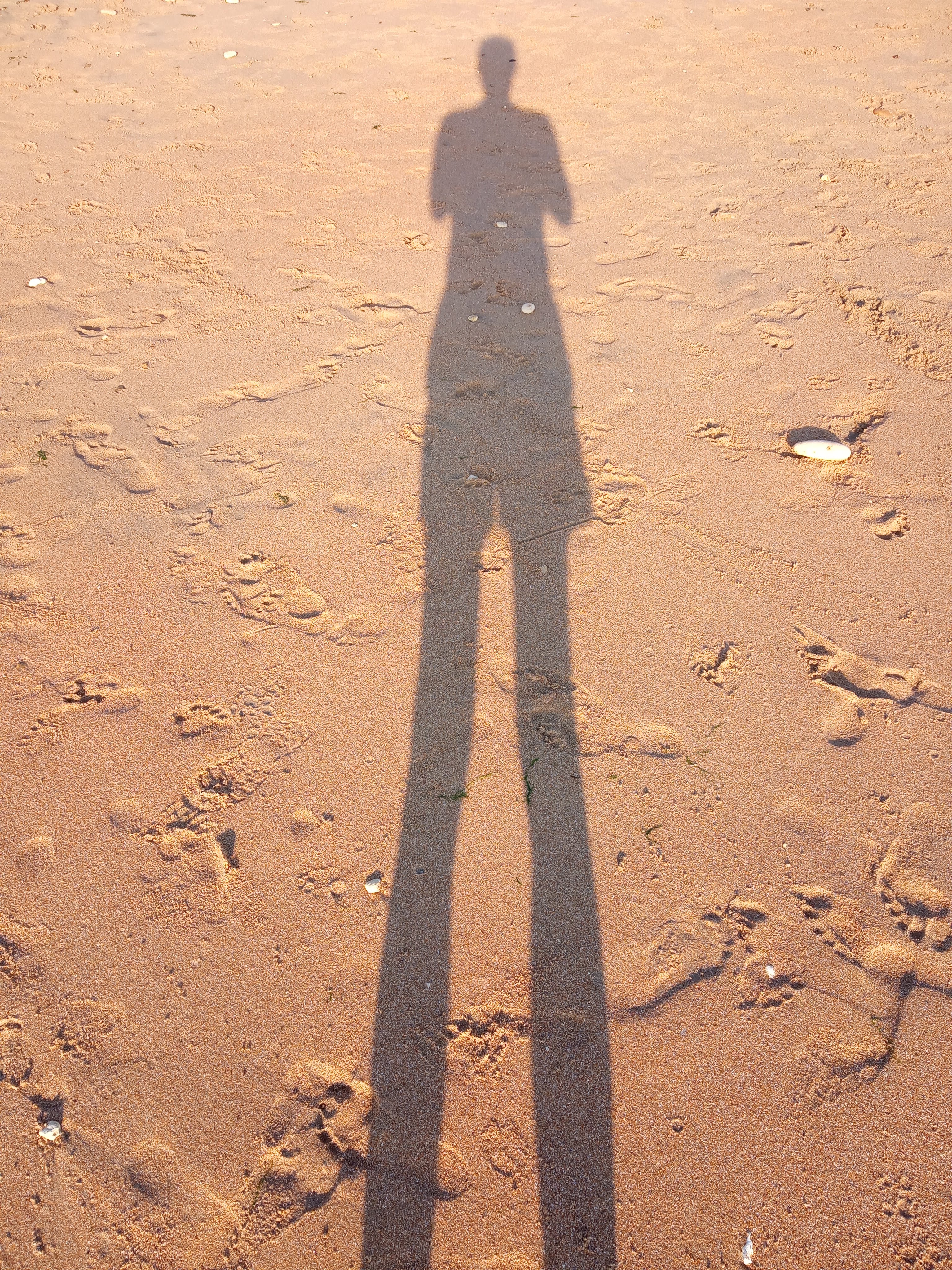 Photo n° 4 de l'avis de vincent.i fait le 28/08/2019 à 17:47