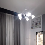 Photo n°1 de l'avis de Paola.. fait le 08/06/2019 à 19:15 sur le  SILVER FOX à Tor Lupara