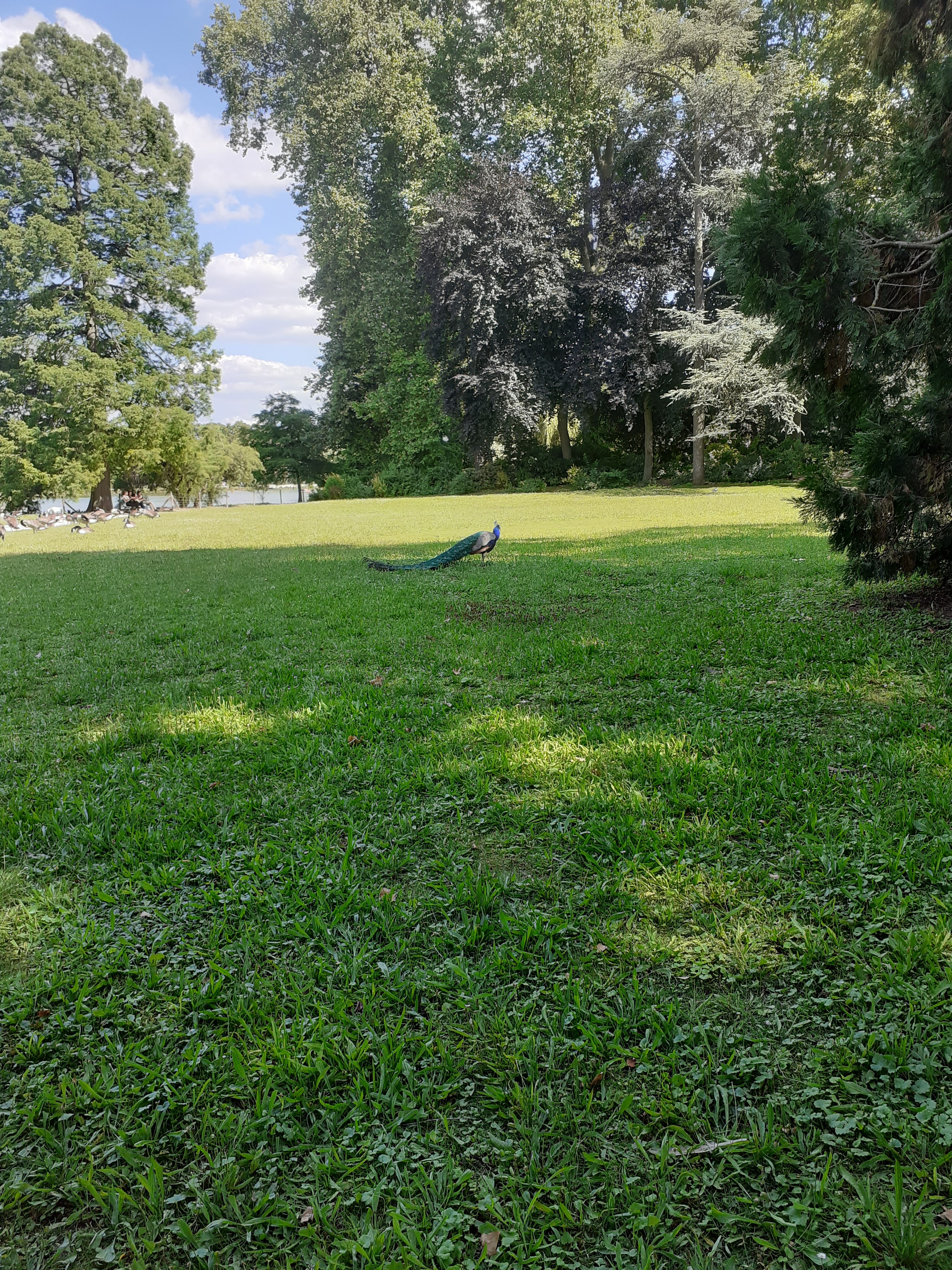 Photo n° 5 de l'avis de Noé.g fait le 01/12/2022 à 16:45