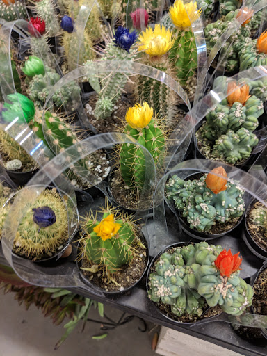 Home Improvement Store «The Home Depot», reviews and photos, 2980 S Euclid Ave, Ontario, CA 91762, USA