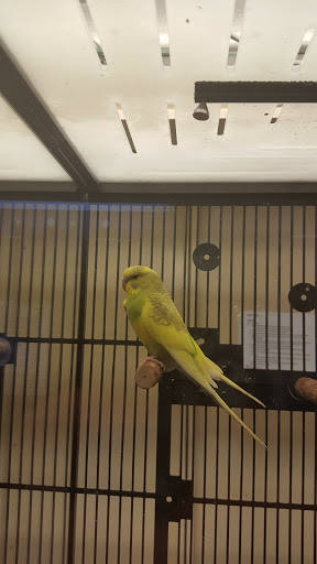 Pet Supply Store «PetSmart», reviews and photos, 1559 Merritt Blvd, Dundalk, MD 21222, USA