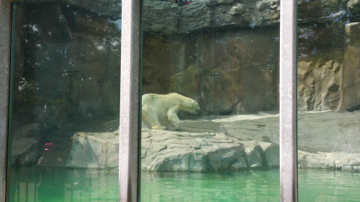 Zoo «Durhams Bear Canyon», reviews and photos, 3701 S 10th St, Omaha, NE 68107, USA