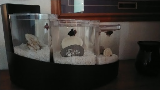 Pet Supply Store «Petco Animal Supplies», reviews and photos, 710 W 66th St, Richfield, MN 55423, USA